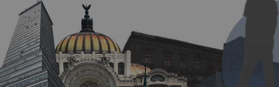 Tours en la Ciudad de México ¡Las mejores Visitas Guiadas!