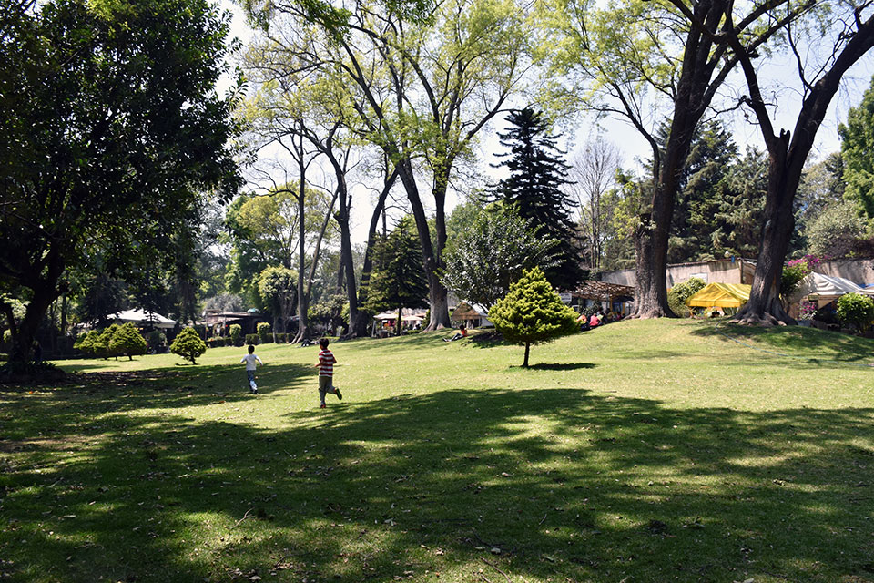 Centro de Tlalpan y alrededores