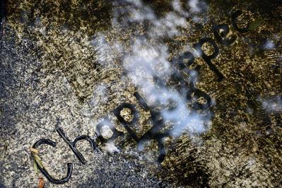 Museos en Chapultepec segunda sección y Parque Lira en la ciudad de México